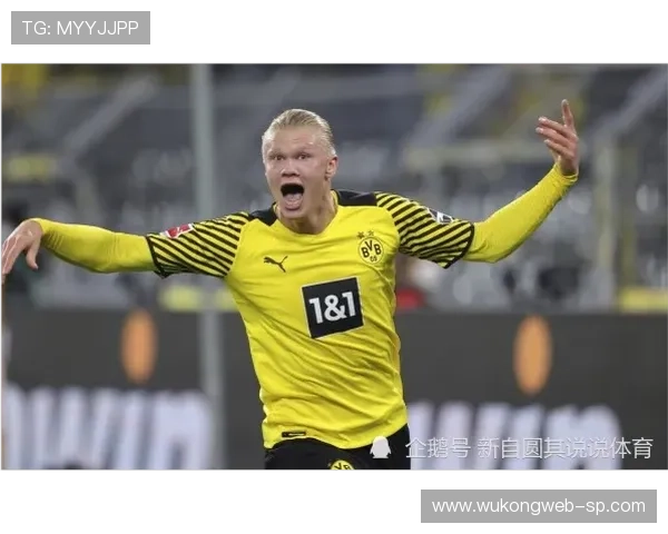 多特防线不稳问题持续显现，本赛季稳定性面临考验