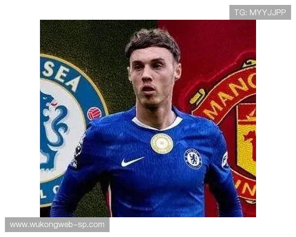 帕尔默在切尔西的战术角色与核心数据解析